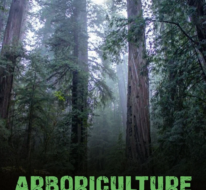 Arboriculture Essentials: Nurturing Trees for Sustainable Landscapes